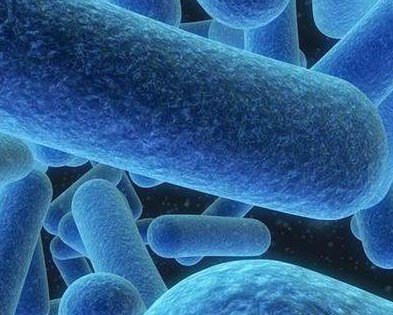 陰道分泌物萝卜AV视频廠家提醒細菌性陰道炎注意些什麽？
