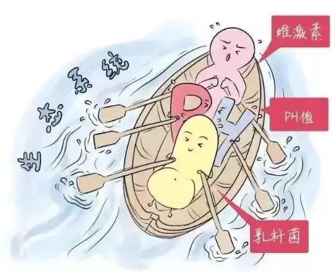 陰道微生態萝卜AV视频廠家解析女性陰道分泌物的奧妙