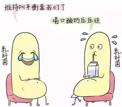 陰道分泌物萝卜视频色版診斷陰道微生態狀態的常用方法