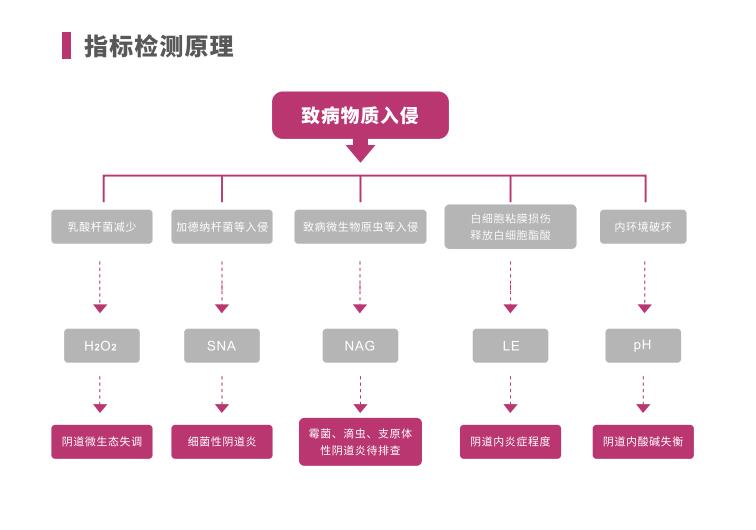 全自動陰道炎萝卜AV视频LTS-V400指標檢測原理