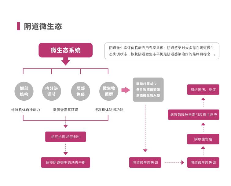 全自動陰道炎萝卜AV视频LTS-V400陰道微生態係統