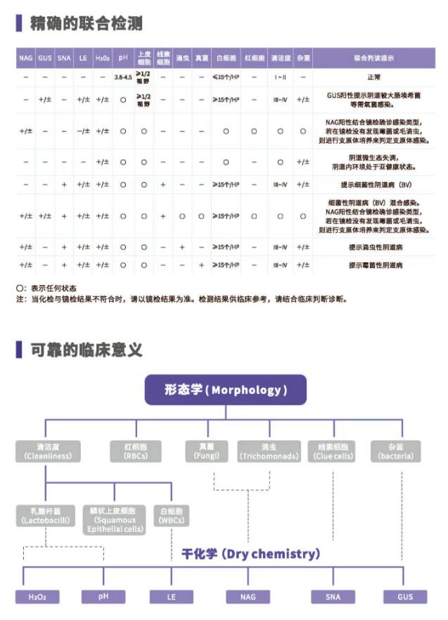 陰道分泌物萝卜视频色版V800精確的聯合檢測