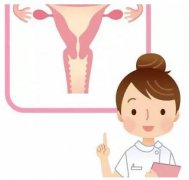 山東萝卜视频APP网站gk全主動陰道分泌物萝卜AV视频器設備憑仗自身技能贏得客戶信賴