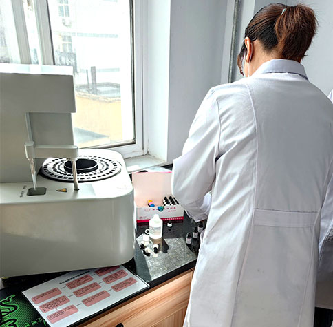 全自動生殖道分泌物萝卜AV视频在宕昌縣疾病預防控製中心完成裝機
