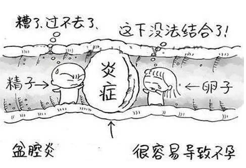 全自動婦科陰道分泌物萝卜视频色版檢測辨別婦科炎症複雜多樣！