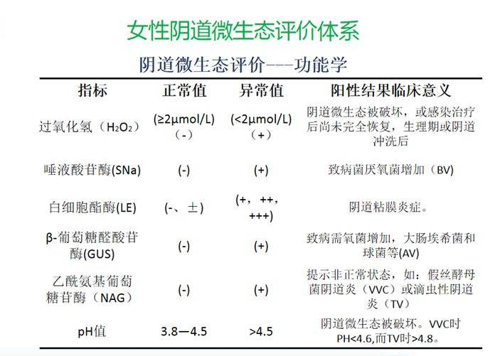 婦科微生態萝卜AV视频器